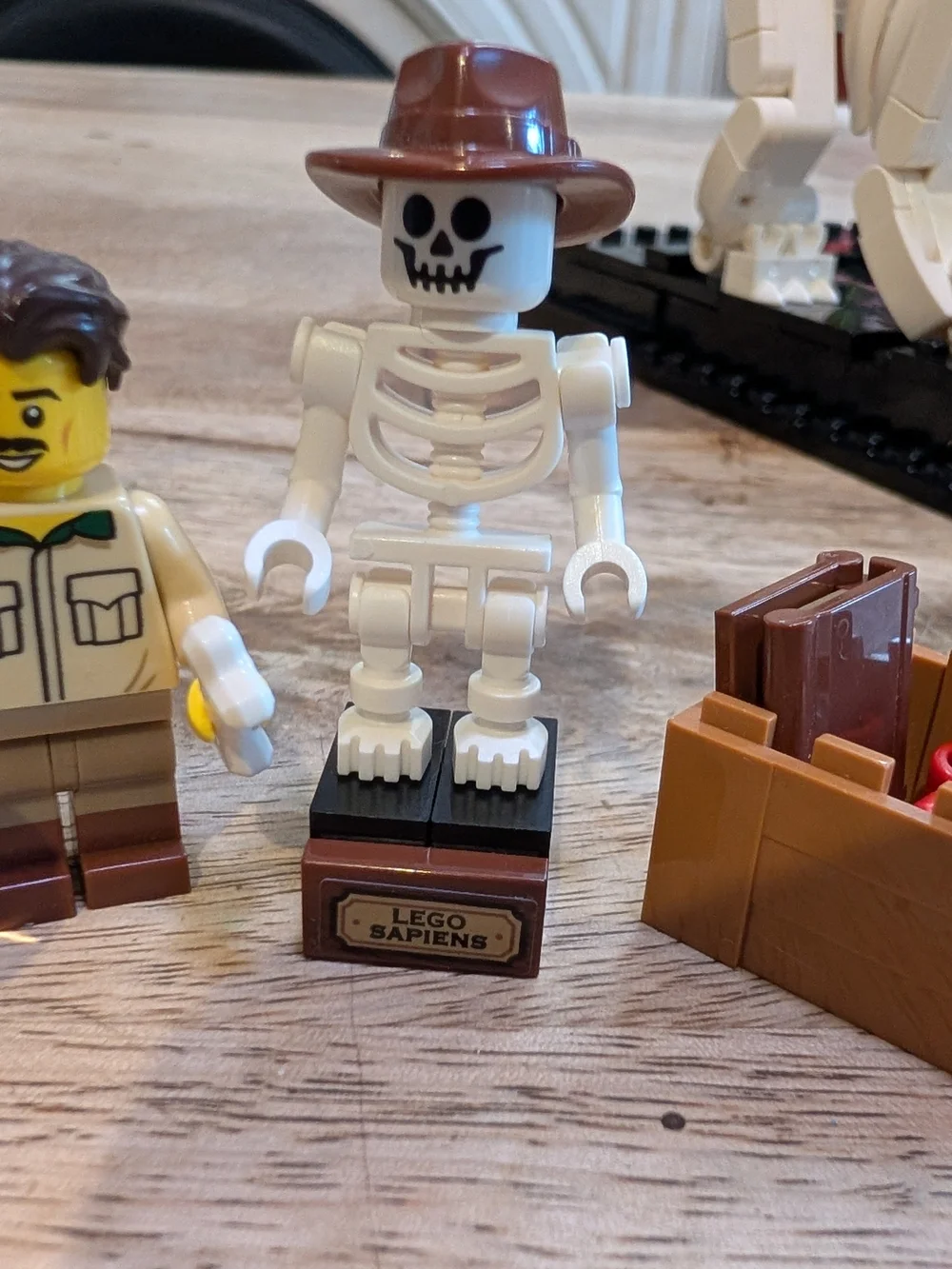 🦴 LEGO Set 21320 — Dinosaur Fossils - Complete